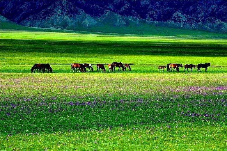 中國氣象局：22個市縣獲評國家氣候標(biāo)志