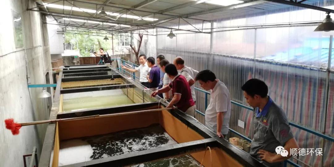 環保督查組現場勘察情況 環保督查組現場勘察情況