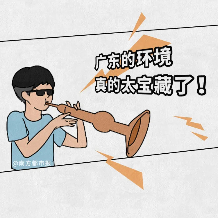 廣東環(huán)境我來吹,沖鴨廣東環(huán)境1